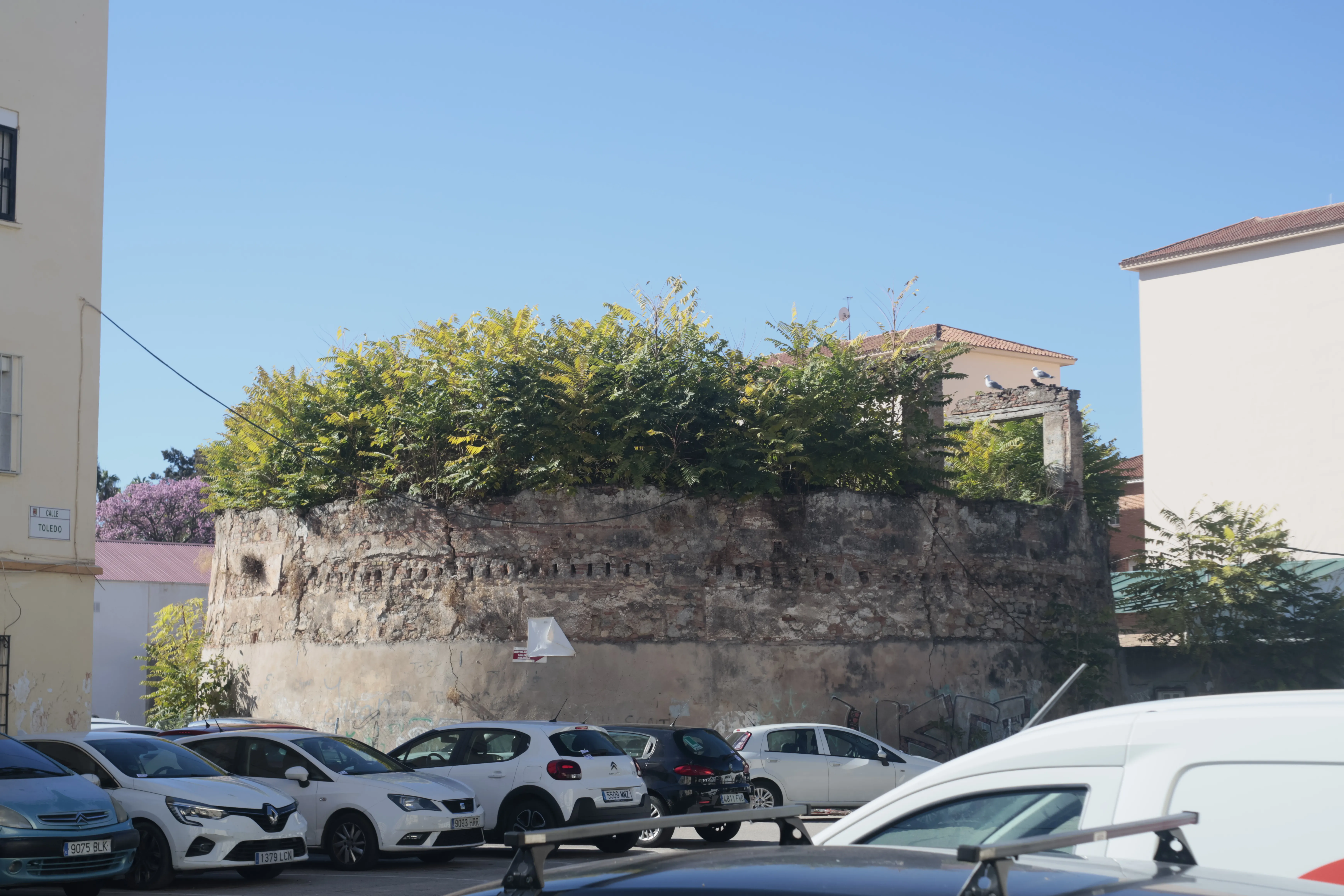 Meyer-Optik Görlitz Primagon 35mm f4.5 (M42) - _I4A1005.webp